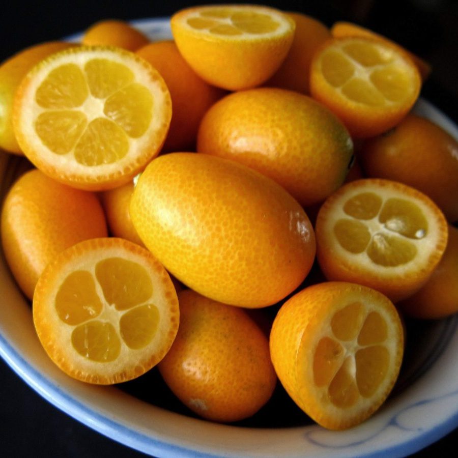 Kumkuat (Kamkat) Tüp Poşette